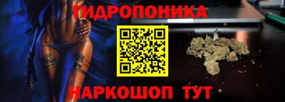 эйфоретик Бузулук