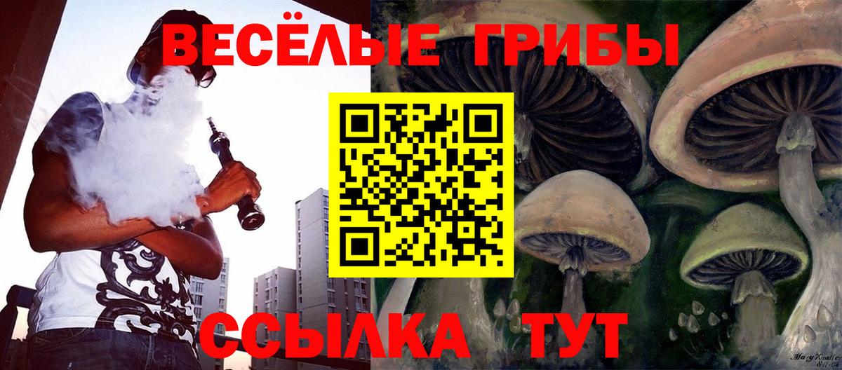 Галлюциногенные грибы Magic Shrooms Верхняя Пышма