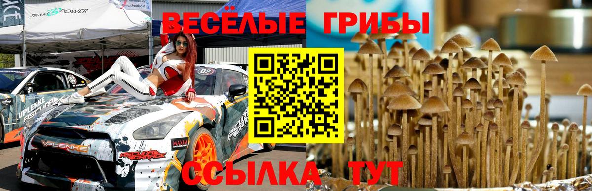 Псилоцибиновые грибы прущие грибы  Вход с VPN  Верхняя Пышма  Галлюциногенные грибы Psilocybine cubensis 